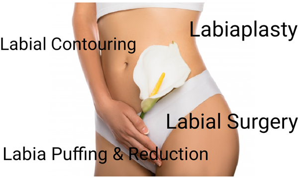 Labiaplasty Rajasthan